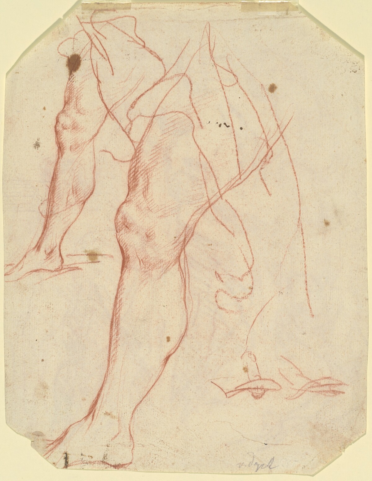 Two Studies of a Leg (verso) by Italian 17th Century