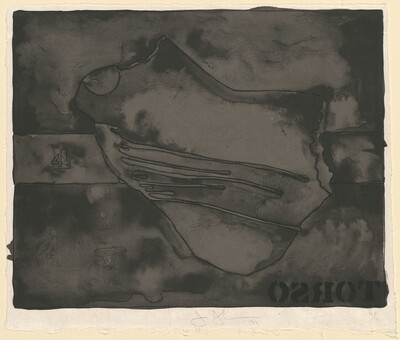 Torso (Black State)