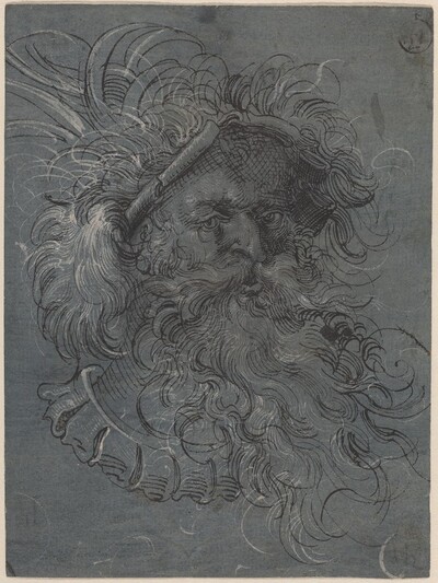 Head of a Bearded Man