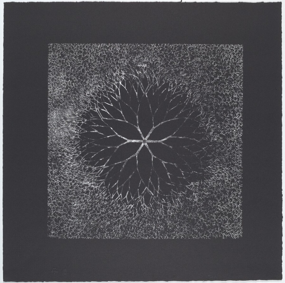 Desert Flower by Ruth Asawa