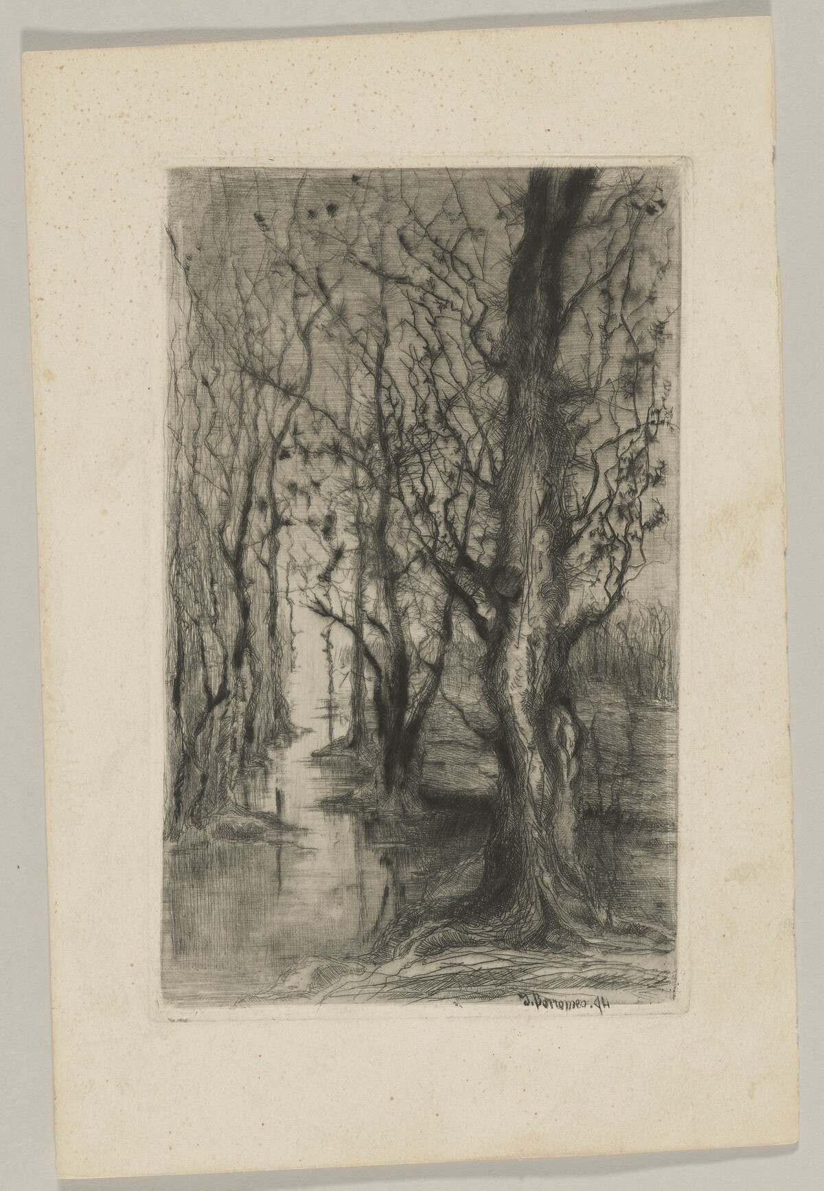 Woodland with a Stream Running Through by Giberto Borromeo?