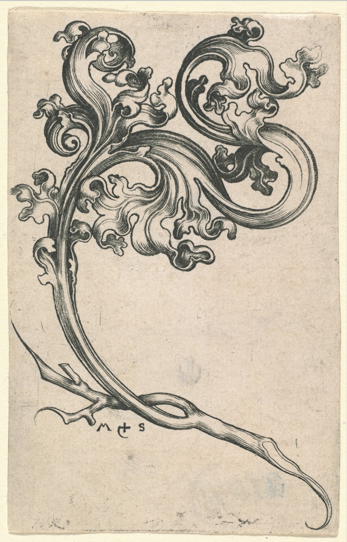Leaf Ornament by Martin Schongauer