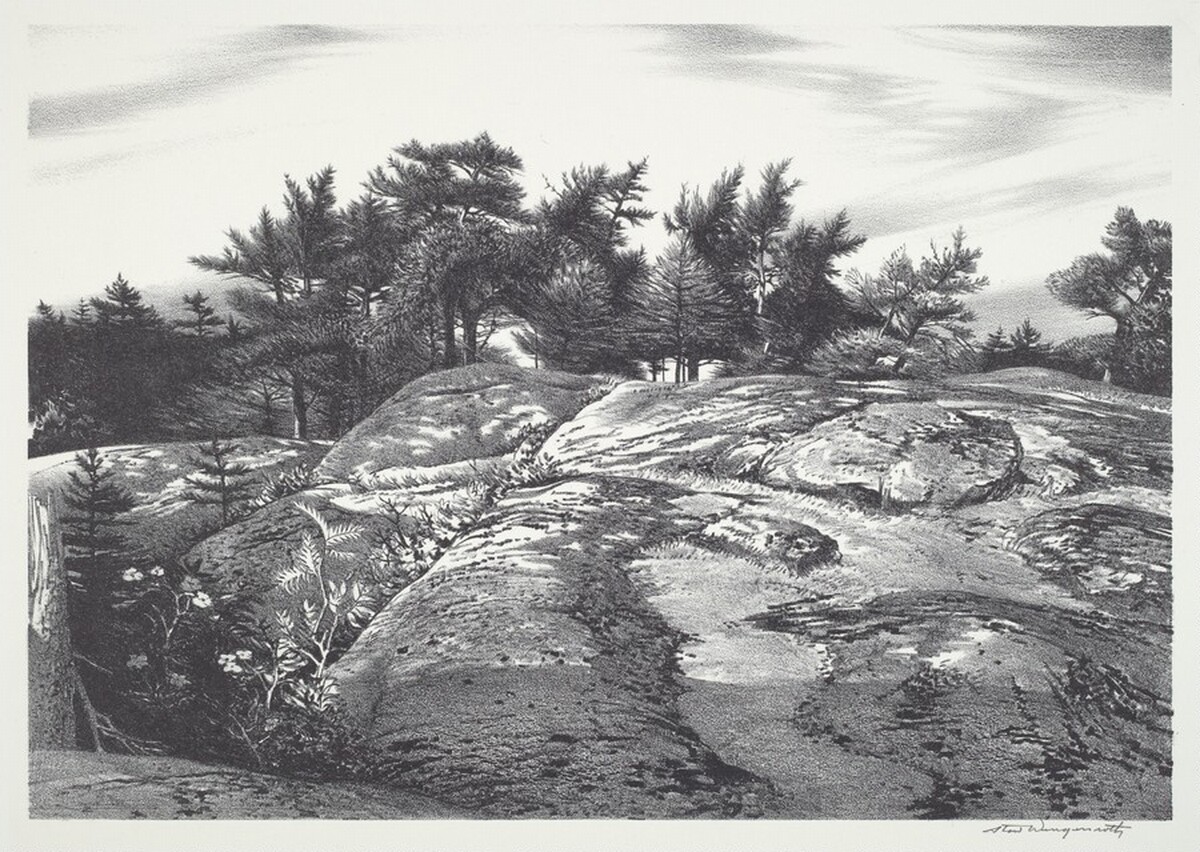 Woodland Ledge by Stow Wengenroth