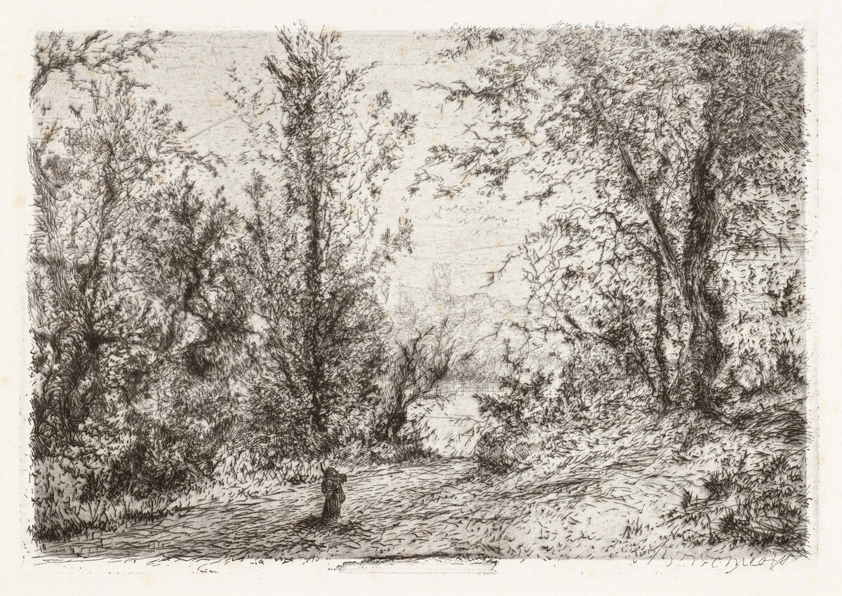 Forest on Lago Maggiore [Foresta sul Lago Maggiore] by Giberto Borromeo