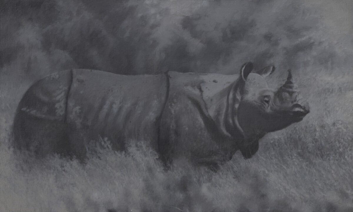 Rhinoceros by Vija Celmins