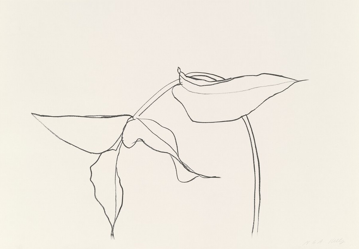 Philodendron I by Ellsworth Kelly