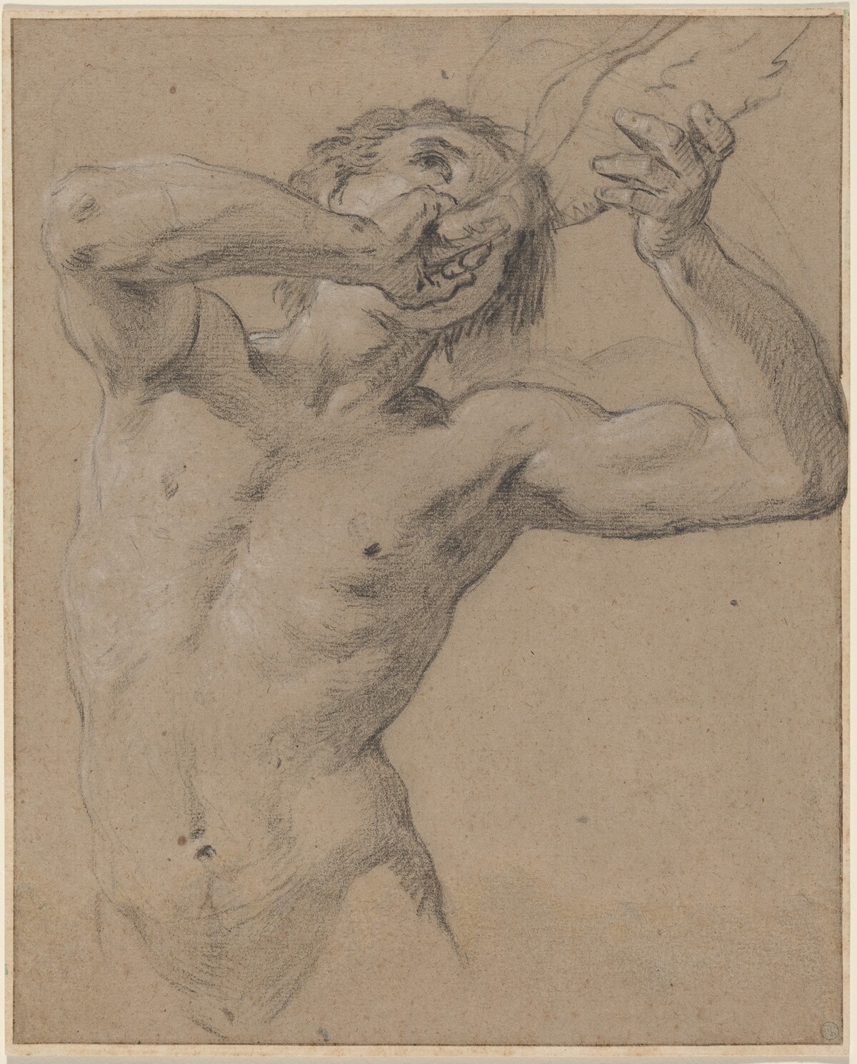 A Triton Blowing a Conch Shell by Jean-Baptiste Nattier