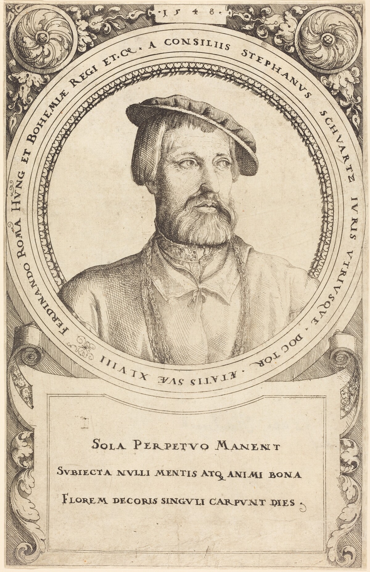 Doctor Stephen Schwartz by Augustin Hirschvogel
