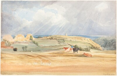 Landscape with Cattle (Somerset?)