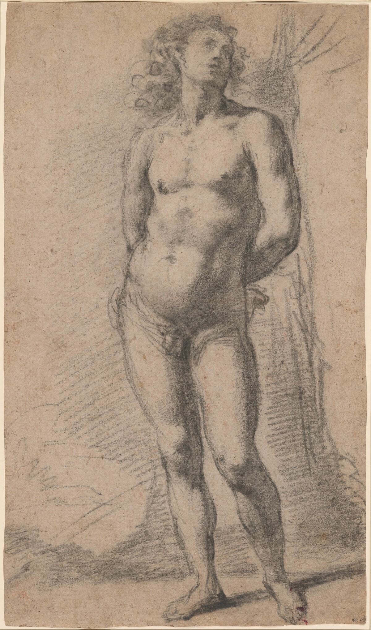 Study of a Standing Male Nude: Saint Sebastian by Jacopo Confortini