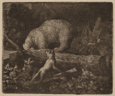 The Bear Trapped