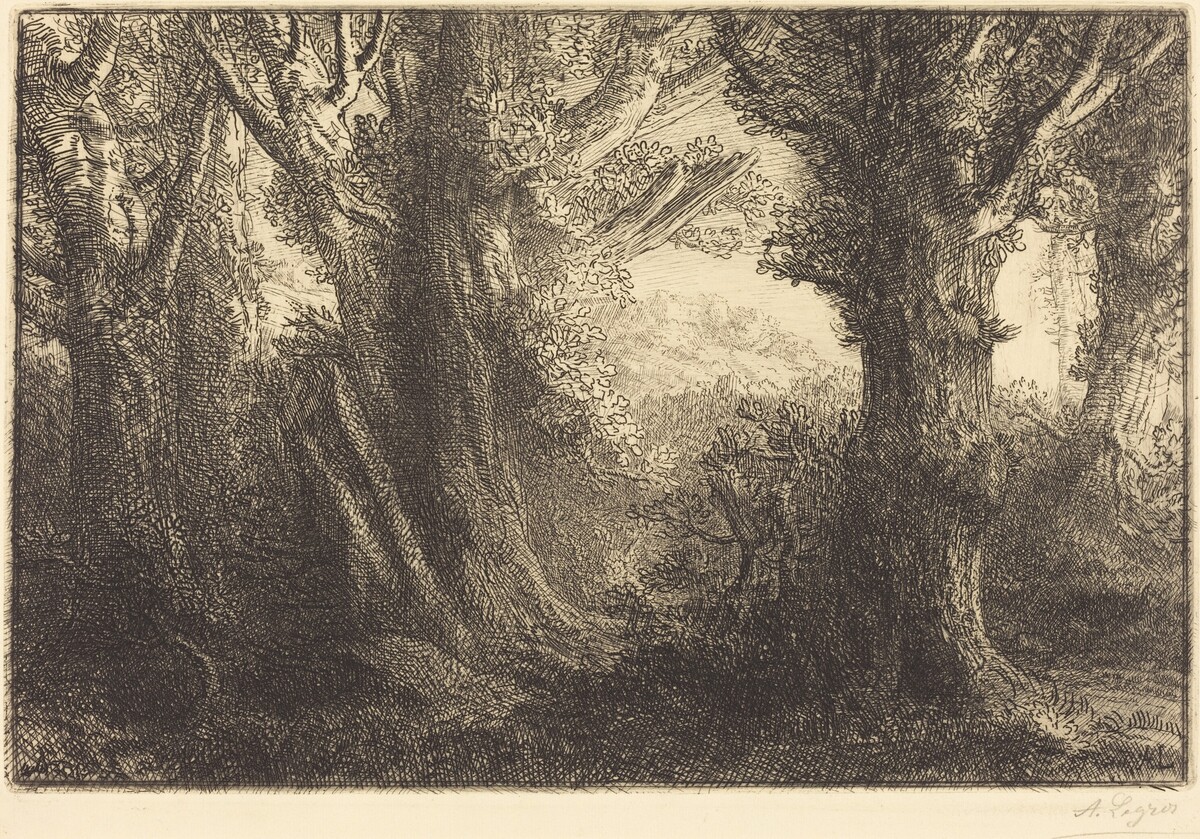 In the Forest of Conteville  (Dans la foret de Conteville) by Alphonse Legros