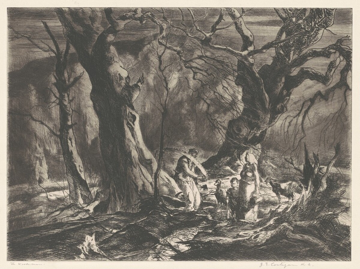 The Woodsman by John E. Costigan