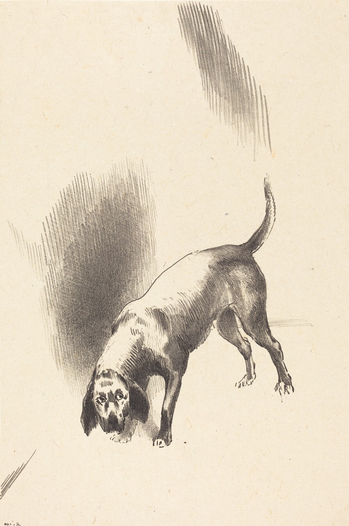 The Dog by Odilon Redon