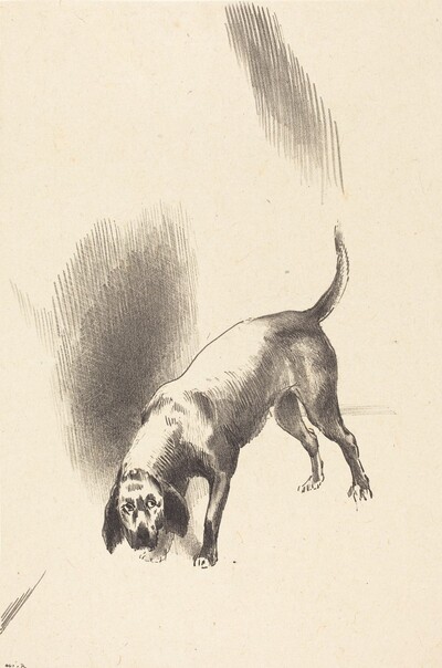 The Dog