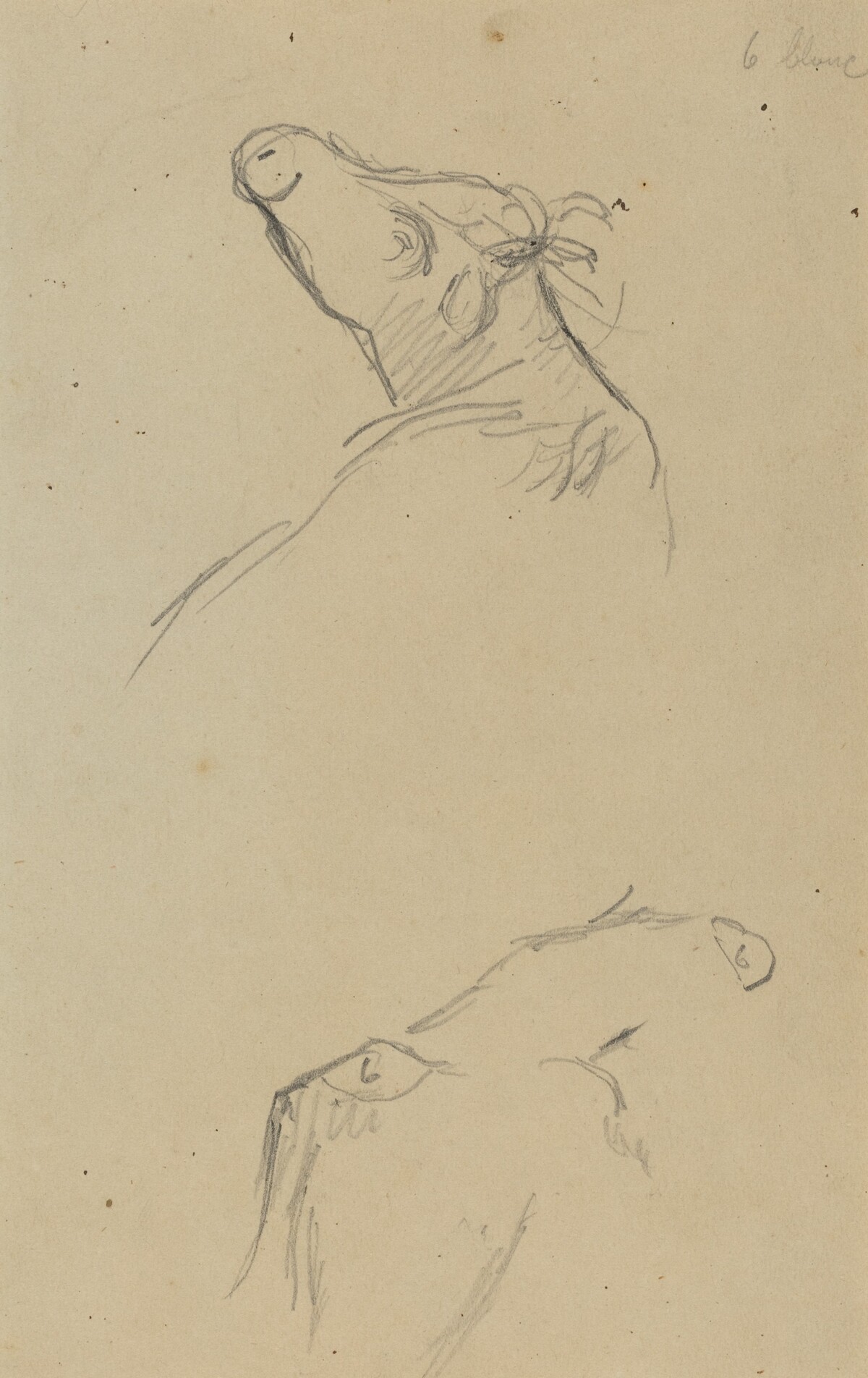 Two Cow's Heads [verso] by Paul Gauguin