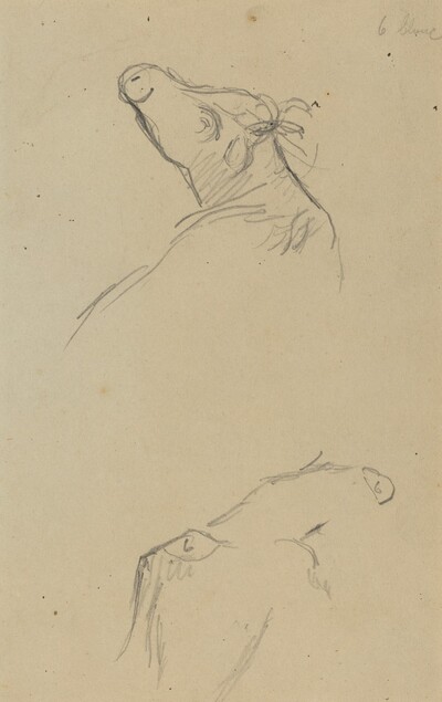 Two Cow's Heads [verso]