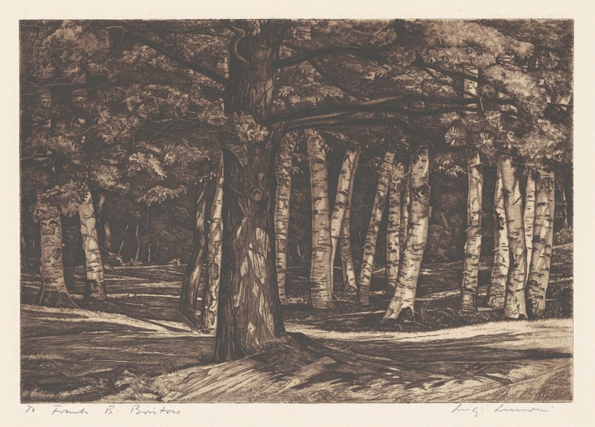 Pine in the Birches by Luigi Lucioni