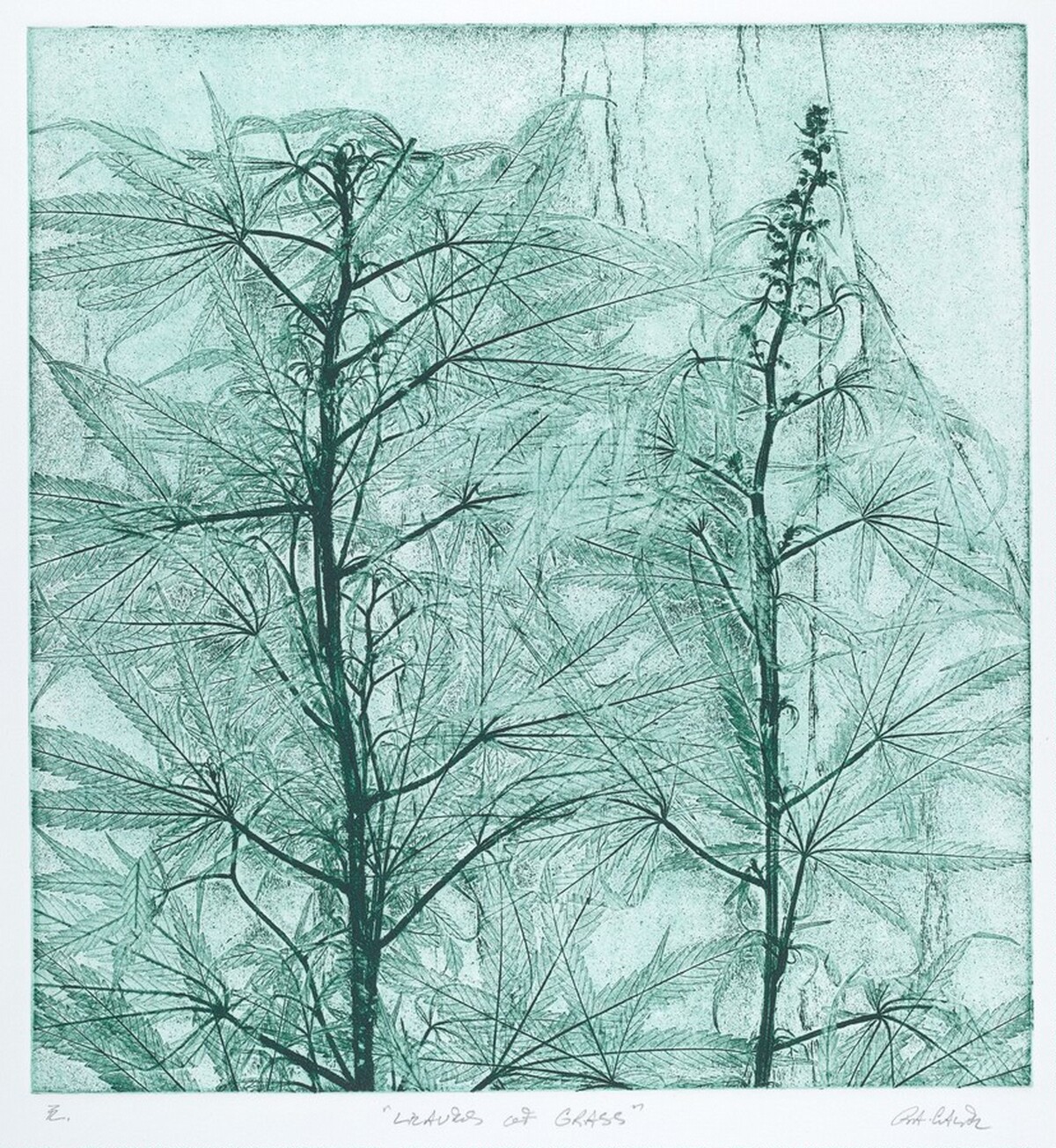 Leaves of Grass by Robert Allan Cale