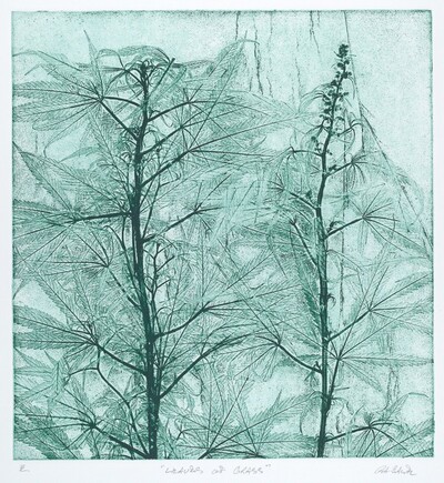 Leaves of Grass