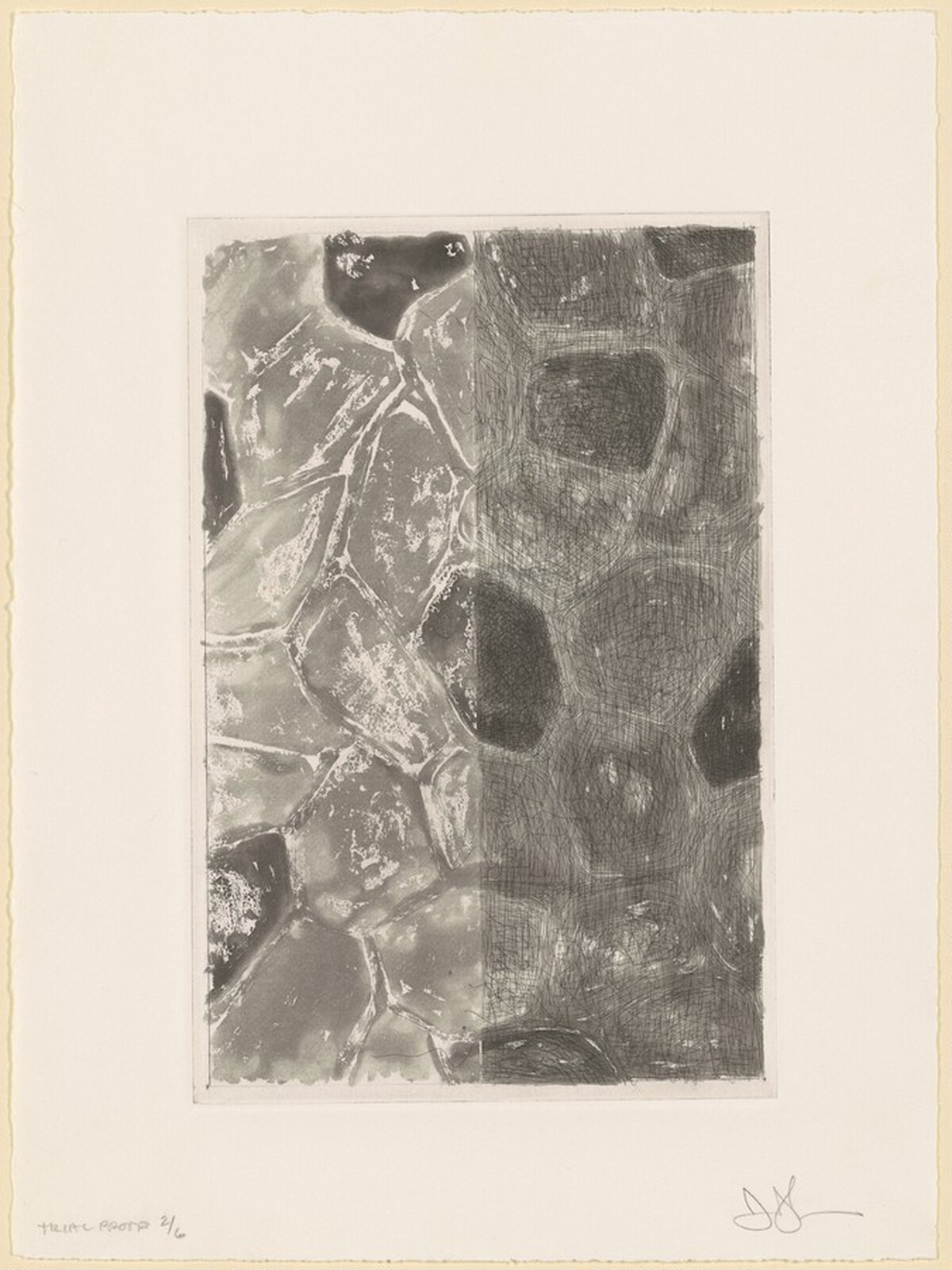 Flagstones (b) [trial proof 2] by Jasper Johns