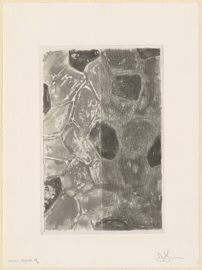 Flagstones (b) [trial proof 2]