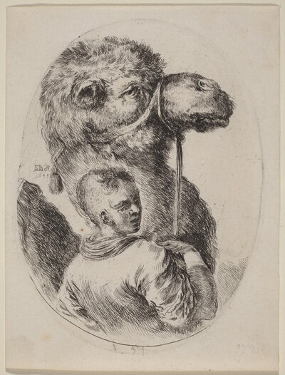 Groom with a Camel