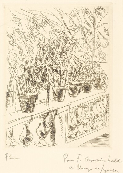 Fleurs