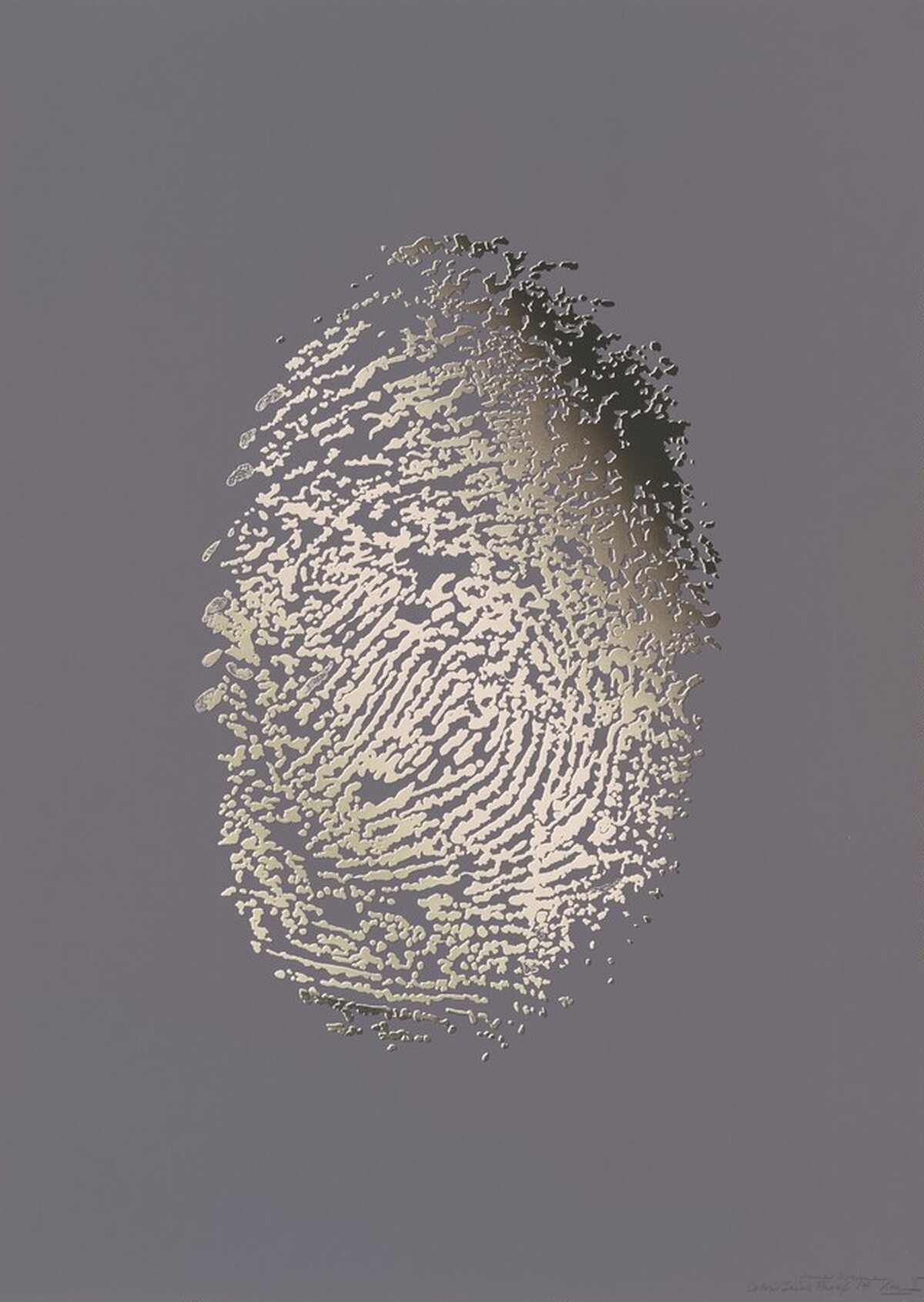 Visa II by June Wayne