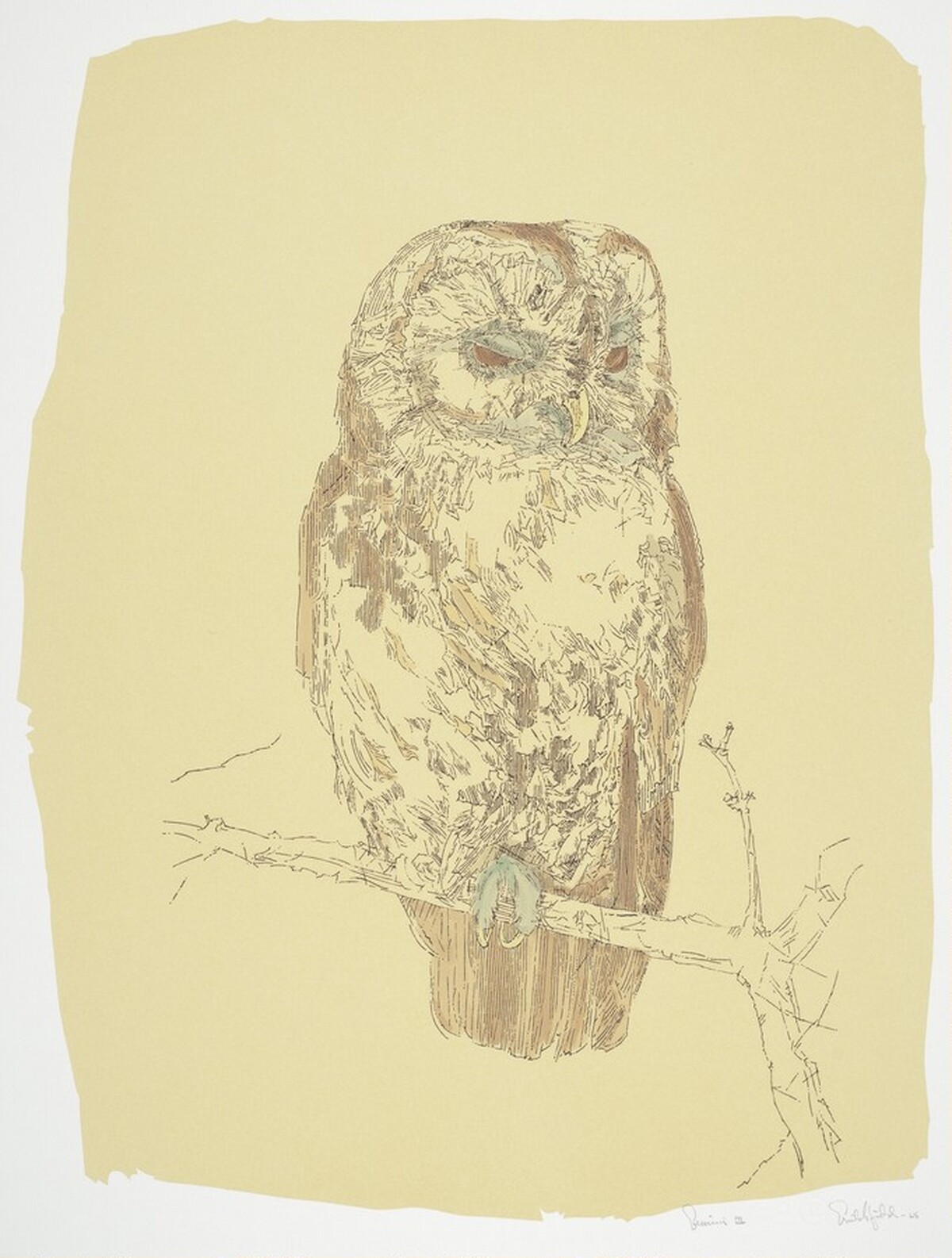 Tawny Owl (State I) by William Crutchfield