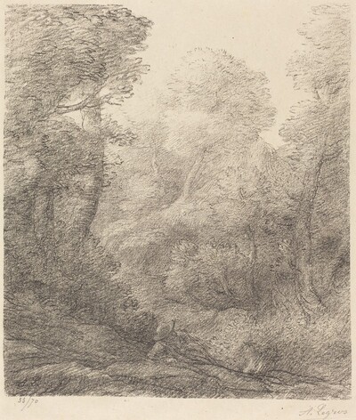 Landscape: Morning Mist (Paysage: Brumes du matin)