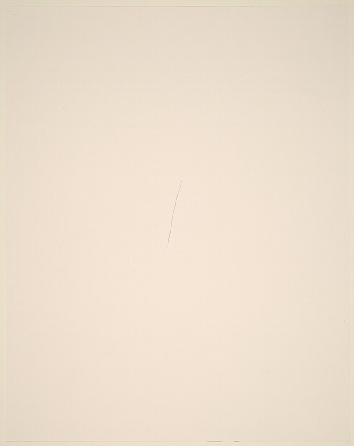 Drawing with One Line by Richard Tuttle