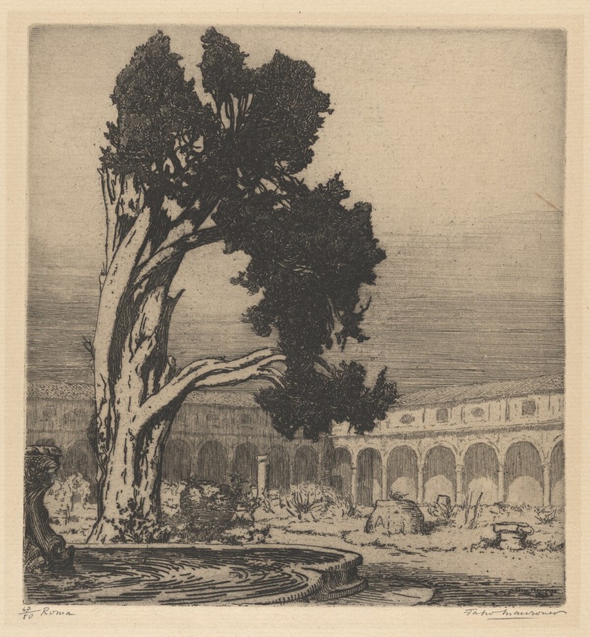 The Cypress of Michelangelo, Rome by Fabio Mauroner