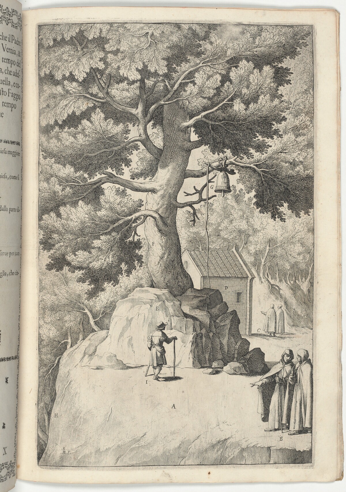Beech Tree with the Bell (Faggio della campana) [plate X] by Jacopo Ligozzi (artist), Raffaello Schiaminossi (etcher), Lino Moroni (author)