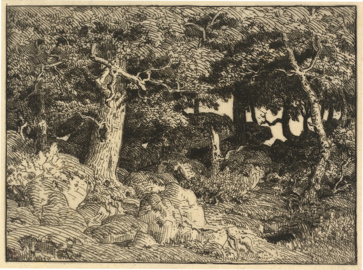 Chenes de Roche (Rock Oaks) by Théodore Rousseau