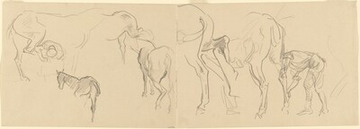 Studies for "Shoeing Calvary Horses at the Front" [recto]