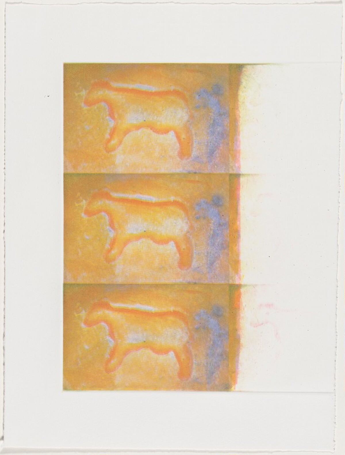 Cow Print [working proof 2] by Gay Outlaw