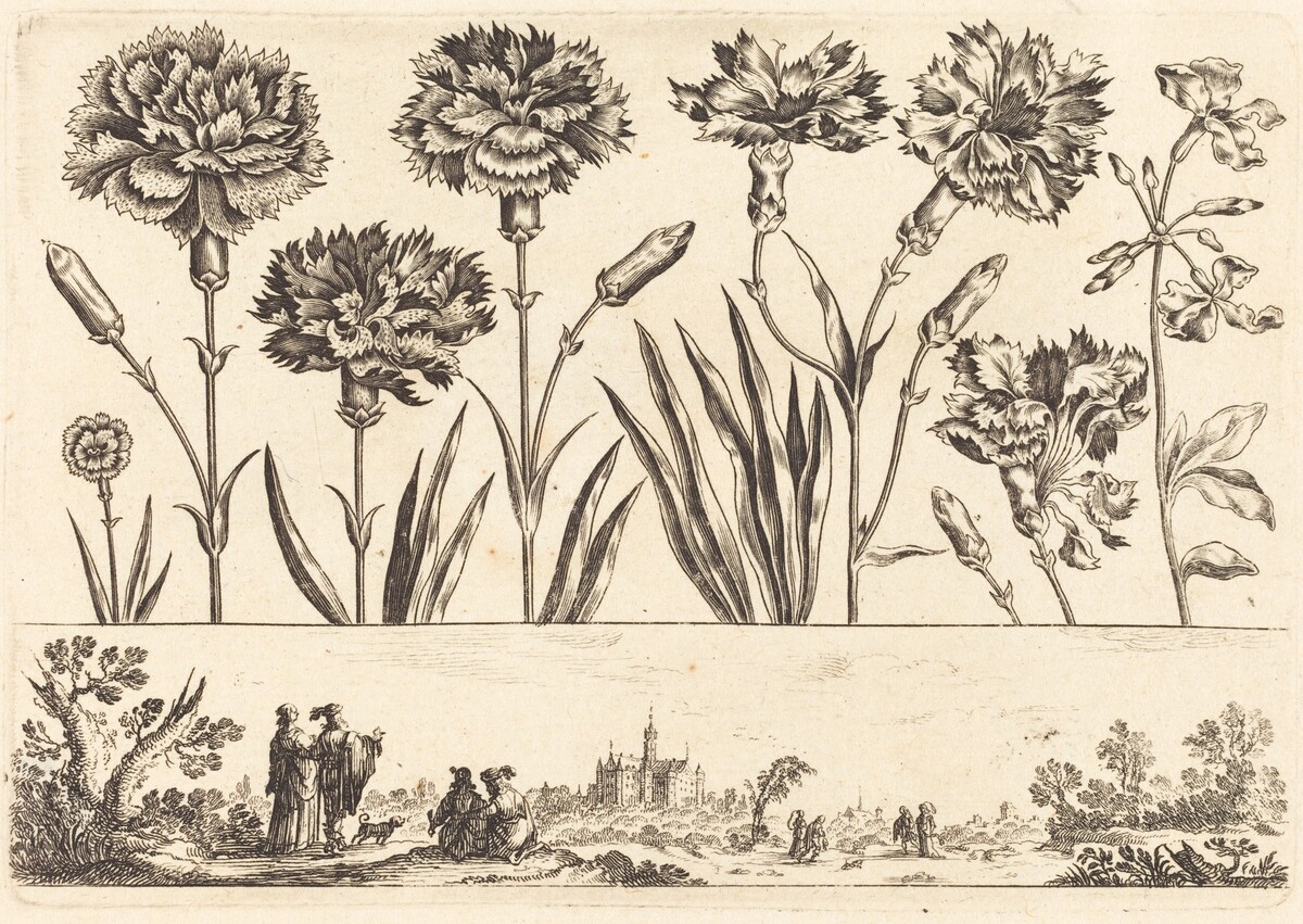 Flower Print no.9 by Nicolas Cochin after Balthasar Moncornet