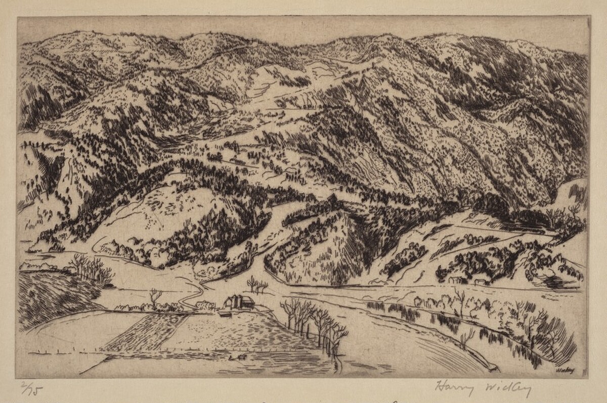 Massanutten Mountain by Harry Newman Wickey