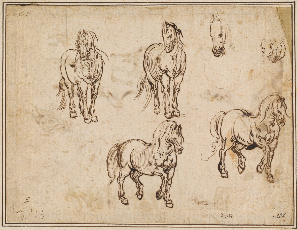 Studies of Horses [recto] by Jacques Callot after Antonio Tempesta