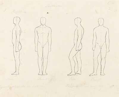 Extent of Motion, Front and Side View Equipoised, Supported on One Leg