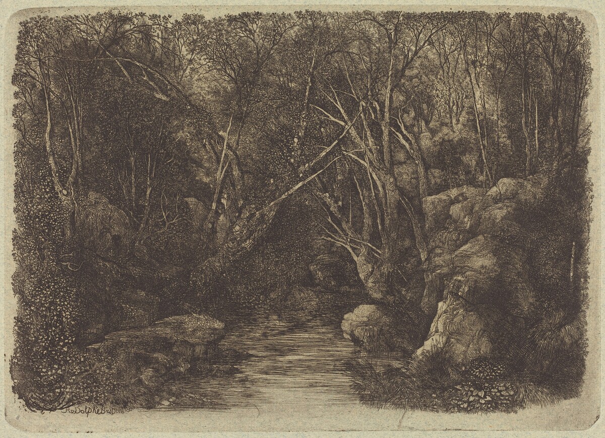 The Brook in the Woods by Rodolphe Bresdin