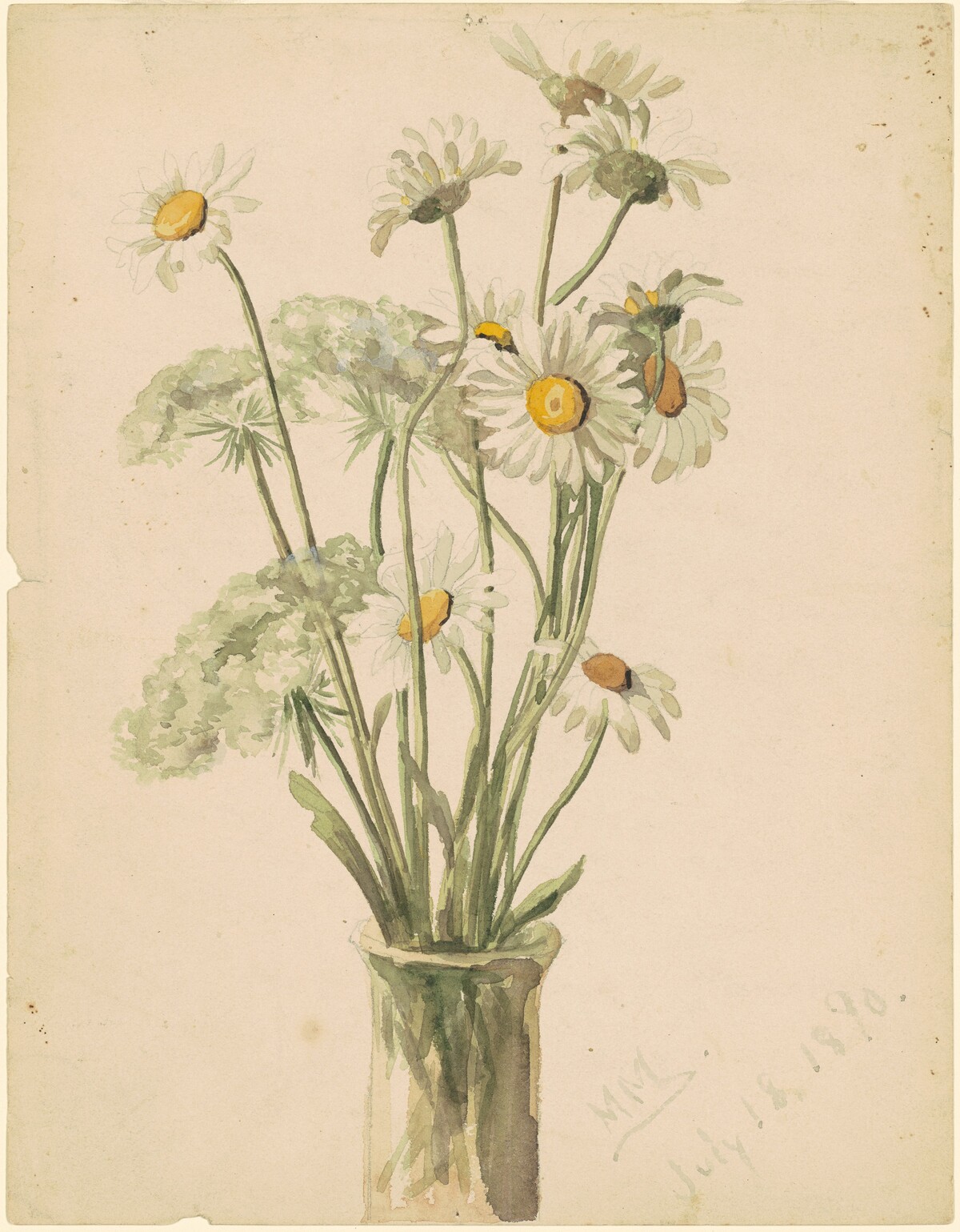 Daisies and Queen Ann's Lace by Marietta Minnigerode Andrews