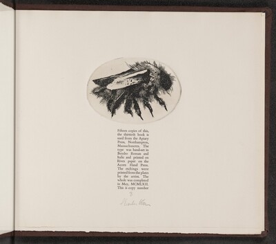 Colophon: Bee