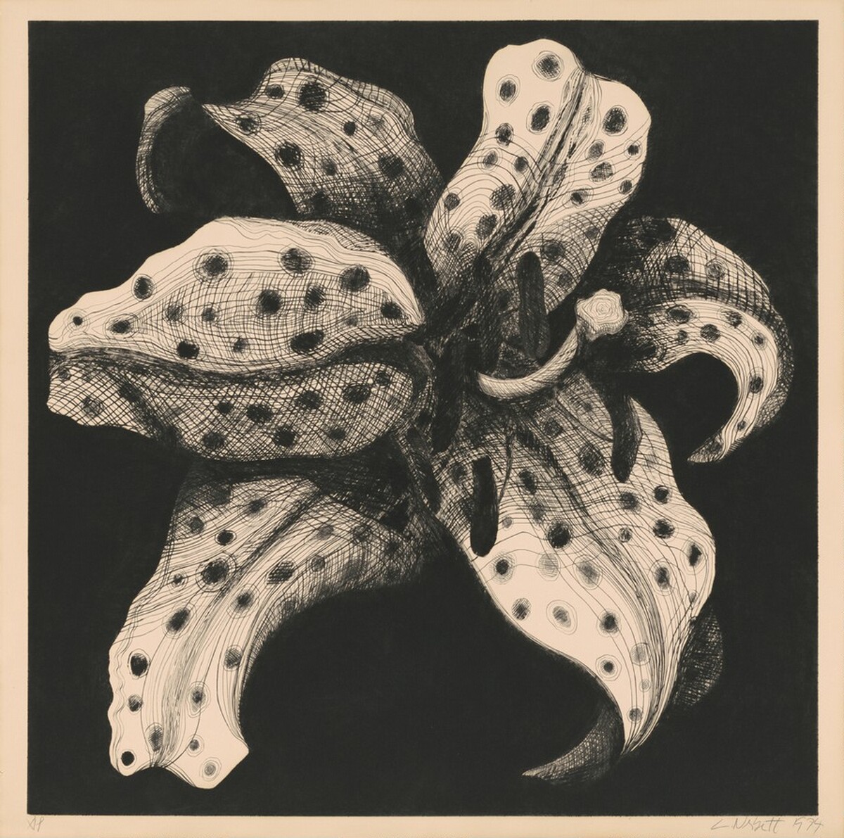 Flower by Lowell Nesbitt