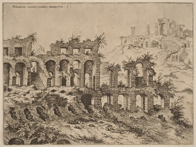 View of the Colosseum with the Palatine in the Background