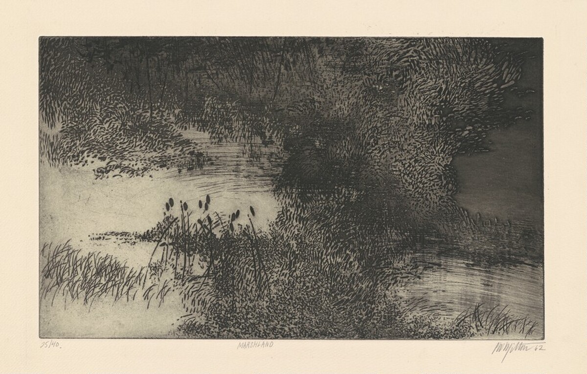 Marshland by Peter Milton