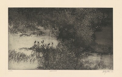 Marshland