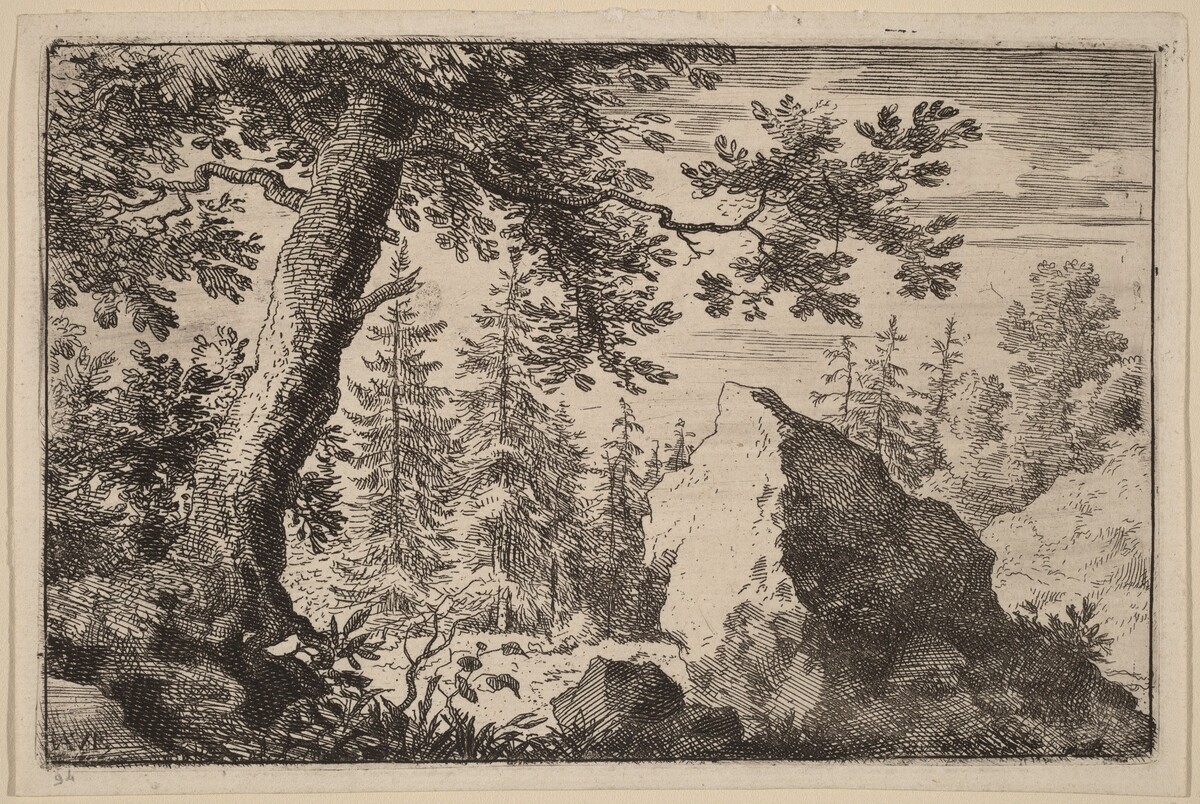 Boulder in the Woods by Allart van Everdingen
