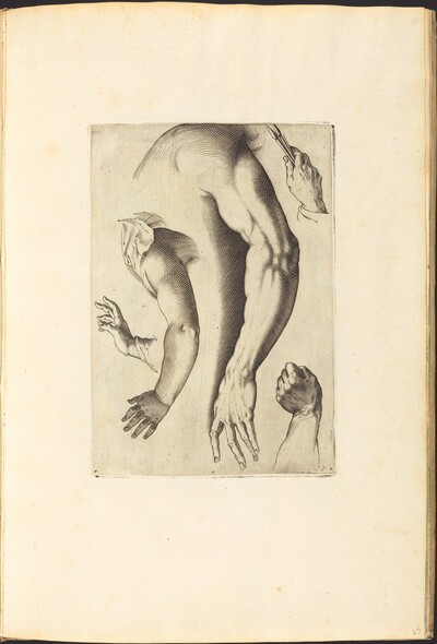 Print from Drawing Book
